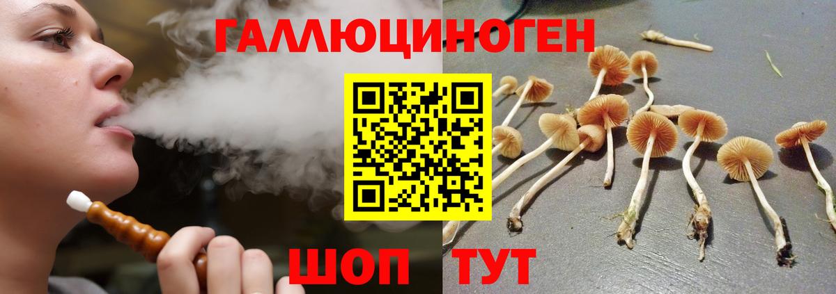 Мурманск  Псилоцибиновые грибы мухоморы  Галлюциногенные грибы мухоморы  Вход с VPN 